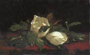Martin Johnson Heade Magnolia Buds